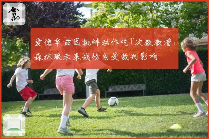 爱德华兹因挑衅动作吃T次数激增,森林狼未来战绩或受裁判影响